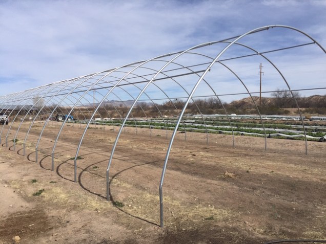 img_1131_hightunnelframe-copy